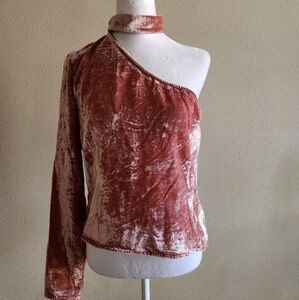 J.O.A. Velvet One-Shoulder Blouse in Rust